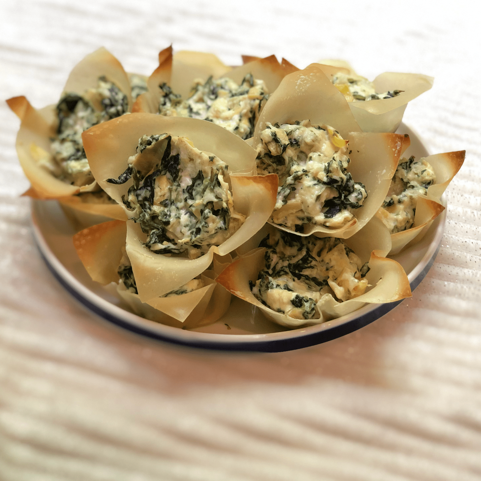 Spinach & Artichoke Dip in Wonton Wrappers
