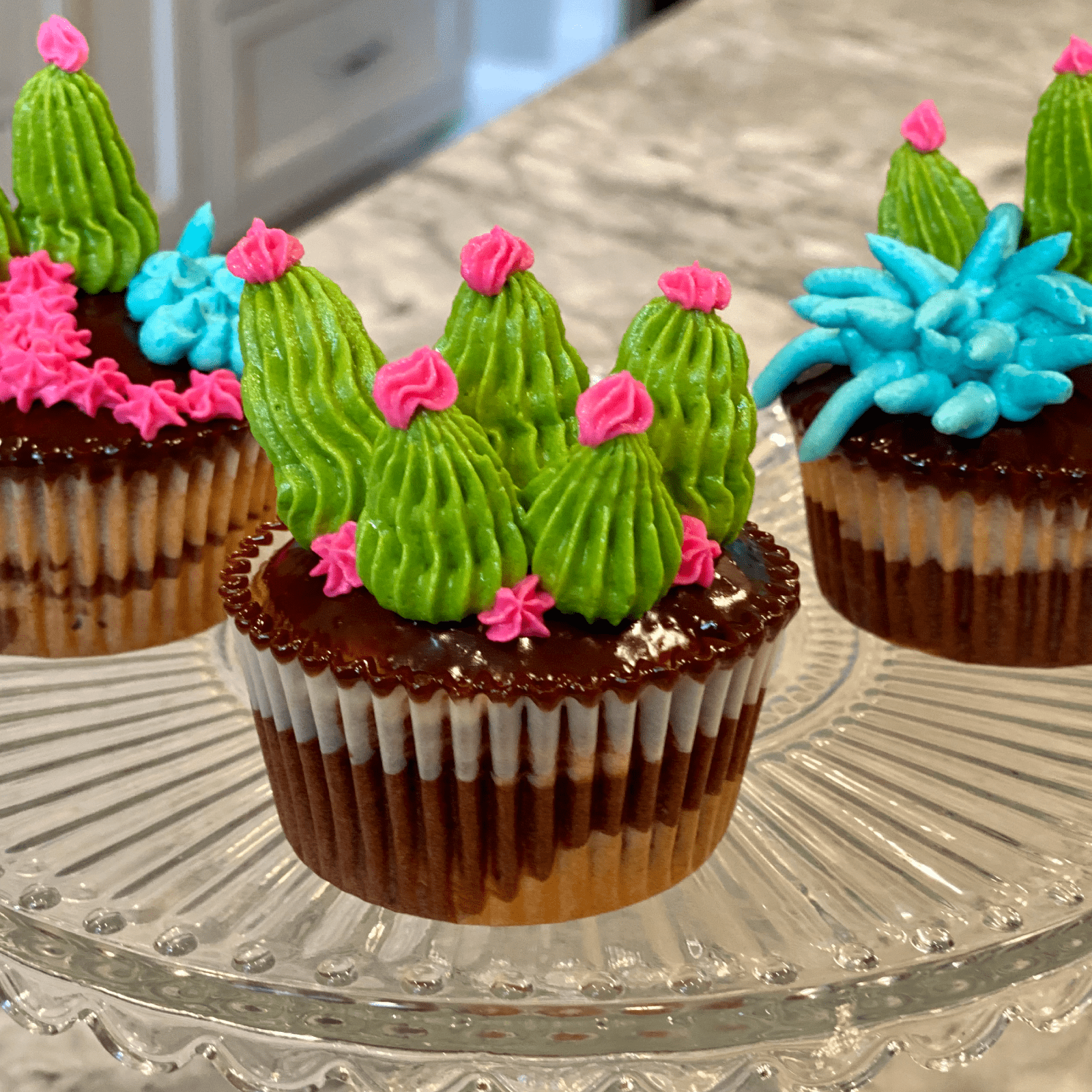 Succulent Cupcakes